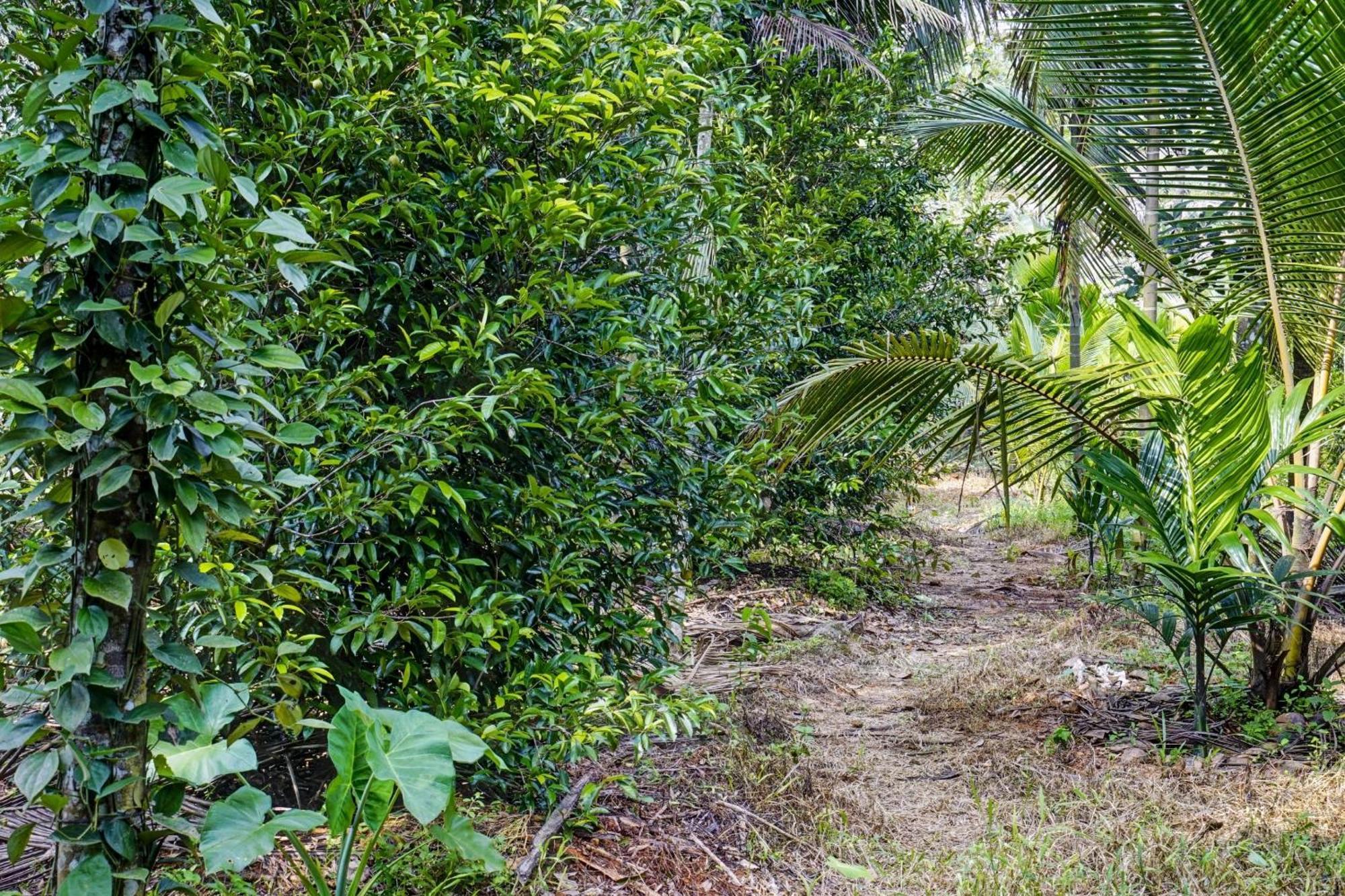 Spot On Shalom Palace Residency Neriyamangalam Eksteriør bilde