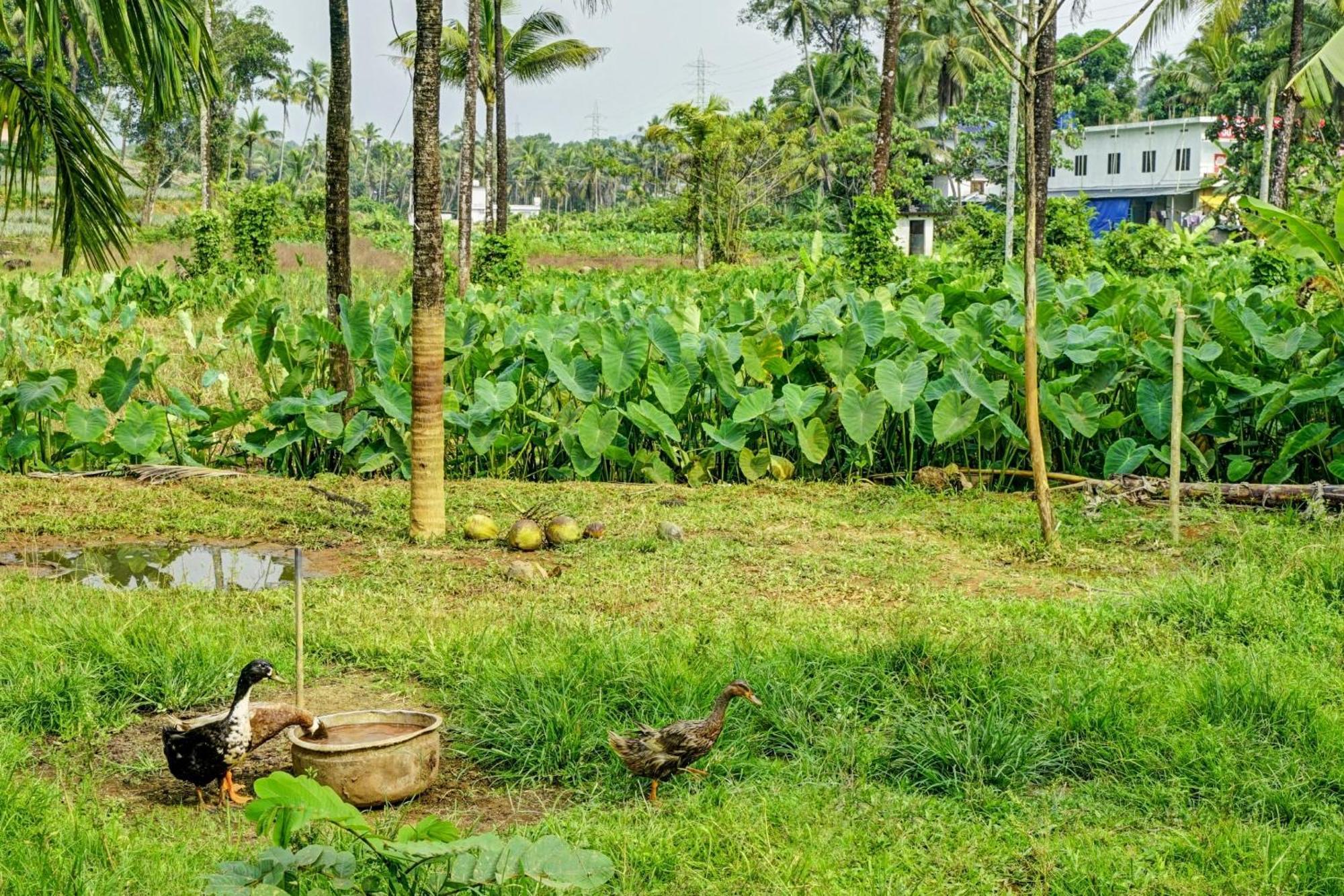 Spot On Shalom Palace Residency Neriyamangalam Eksteriør bilde